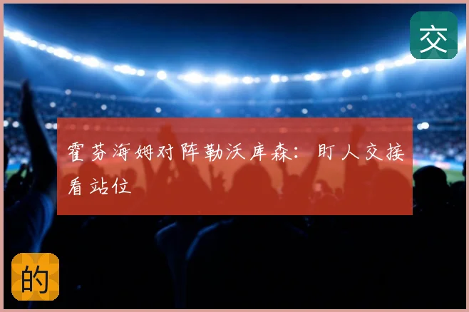 霍芬海姆对阵勒沃库森：盯人交接看站位
